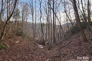 433 Deneen Rd, Burnsville, NC 28714 - Photo 31