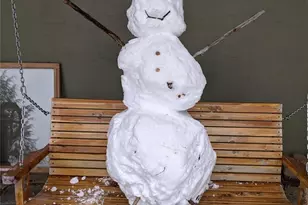 1299 Pine Ridge Rd, Burnsville, NC 28714 - Photo 35