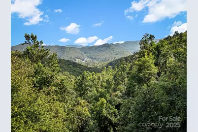 1299 Pine Ridge Road, Burnsville, NC 28714 - Photo 3