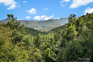 1299 Pine Ridge Rd, Burnsville, NC 28714 - Photo 3