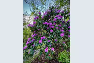 1299 Pine Ridge Road, Burnsville, NC 28714 - Photo 31