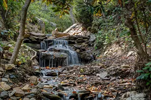 1299 Pine Ridge Rd, Burnsville, NC 28714 - Photo 29