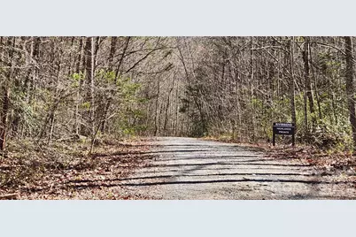 0 Buffalo Creek Road #74, Lake Lure, NC 28746 - Photo 31