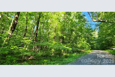 0 Buffalo Creek Road #74, Lake Lure, NC 28746 - Photo 27