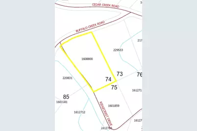 0 Buffalo Creek Road #74, Lake Lure, NC 28746 - Photo 43
