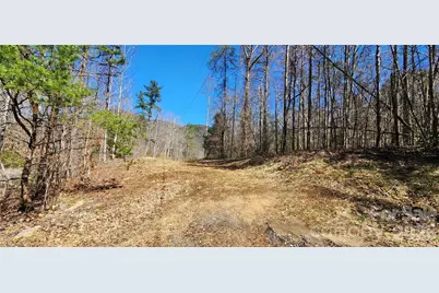 0 Buffalo Creek Road #74, Lake Lure, NC 28746 - Photo 11