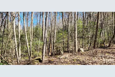 0 Buffalo Creek Road #74, Lake Lure, NC 28746 - Photo 39