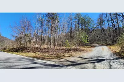 0 Buffalo Creek Road #74, Lake Lure, NC 28746 - Photo 3