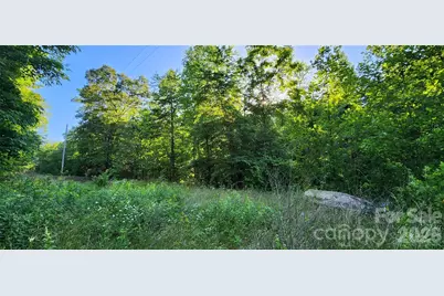 0 Buffalo Creek Road #74, Lake Lure, NC 28746 - Photo 17
