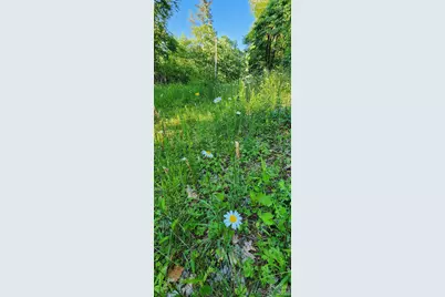 0 Buffalo Creek Road #74, Lake Lure, NC 28746 - Photo 25