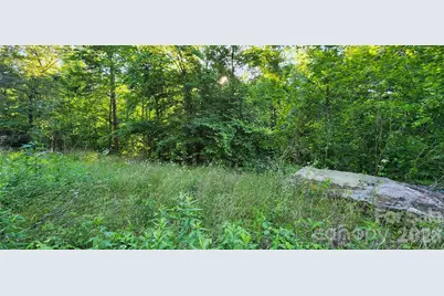 0 Buffalo Creek Road #74, Lake Lure, NC 28746 - Photo 19