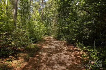 8430 Reeps Grove Church Road, Vale, NC 28168 - Photo 41