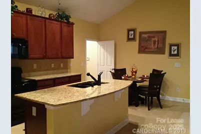 9806 Sky Vista Drive, Huntersville, NC 28078 - Photo 5