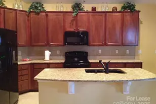 9806 Sky Vista Dr, Huntersville, NC 28078 - Photo 3