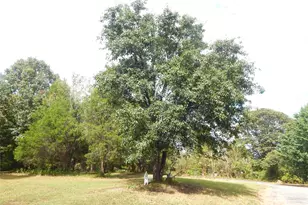 6368 Alley Rd, Catawba, NC 28609 - Photo 23