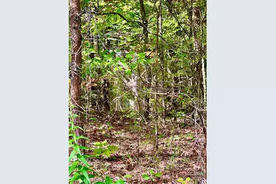 366 Boland Drive, Lake Lure, NC 28746 - Photo 19