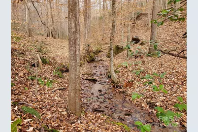 366 Boland Drive, Lake Lure, NC 28746 - Photo 9