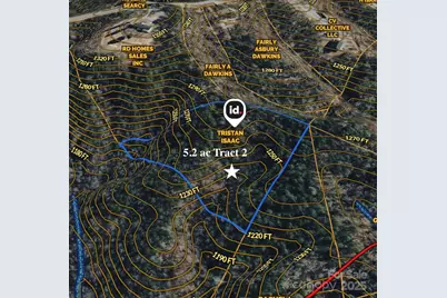 366 Boland Drive, Lake Lure, NC 28746 - Photo 3