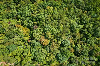 366 Boland Drive, Lake Lure, NC 28746 - Photo 11