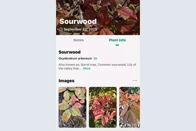 366 Boland Drive, Lake Lure, NC 28746 - Photo 41