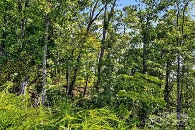 366 Boland Drive, Lake Lure, NC 28746 - Photo 13