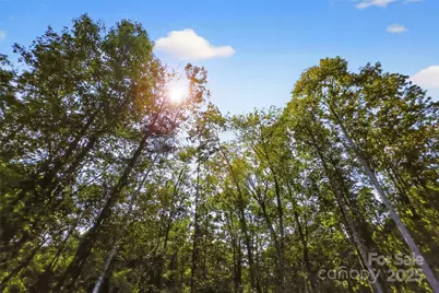 366 Boland Drive, Lake Lure, NC 28746 - Photo 5