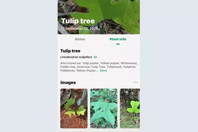 366 Boland Drive, Lake Lure, NC 28746 - Photo 37