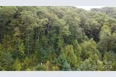 97 Settings Boulevard, Black Mountain, NC 28711 - Photo 5