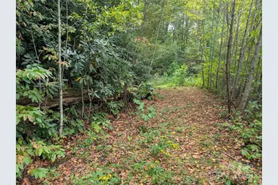 97 Settings Boulevard, Black Mountain, NC 28711 - Photo 7