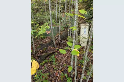 97 Settings Boulevard, Black Mountain, NC 28711 - Photo 11