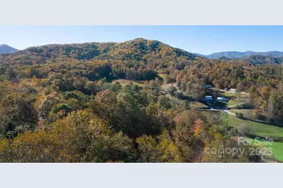 124 Sleepy Forest Drive, Leicester, NC 28748 - Photo 29