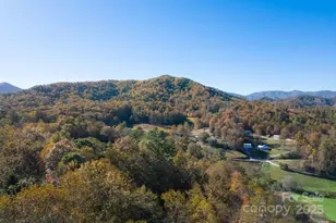 124 Sleepy Forest Dr, Leicester, NC 28748 - Photo 29