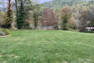 8020 Meadow Fork Rd, Hot Springs, NC 28743 - Photo 15