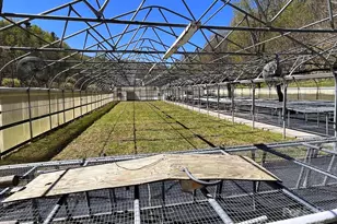 8020 Meadow Fork Rd, Hot Springs, NC 28743 - Photo 13