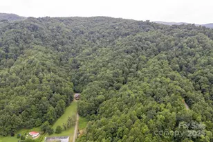 8020 Meadow Fork Rd, Hot Springs, NC 28743 - Photo 5