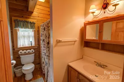 8020 Meadow Fork Road, Hot Springs, NC 28743 - Photo 21