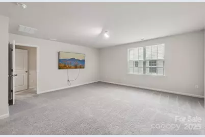 299 Hamptons Cove Road, Troutman, NC 28166 - Photo 19