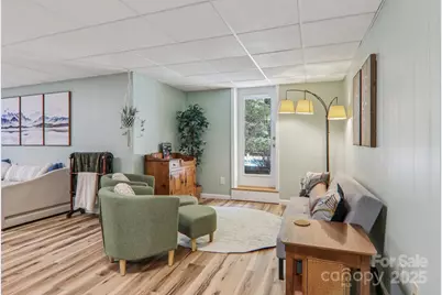 16 Amber Drive, Horse Shoe, NC 28742 - Photo 39