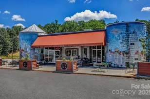 59 College St, Asheville, NC 28801 - Photo 41