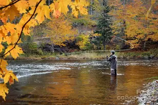 419 Snow Cloud Dr, Seven Devils, NC 28604 - Photo 27