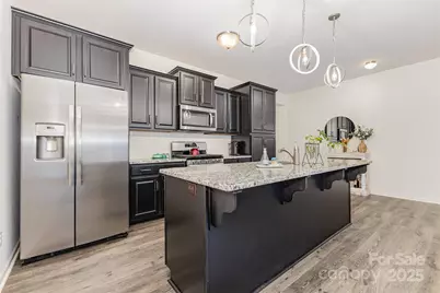 50113 Robins Nest Lane, Lancaster, SC 29720 - Photo 3