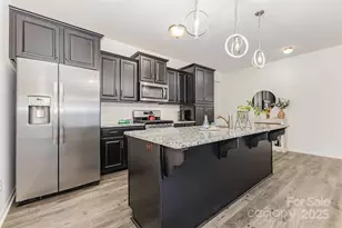 50113 Robins Nest Ln, Lancaster, SC 29720 - Photo 3