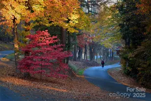 589 Newport Dr, Mount Gilead, NC 27306 - Photo 31