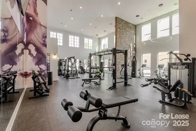 3110 Doe River Way #Chadwick, Matthews, NC 28105 - Photo 7