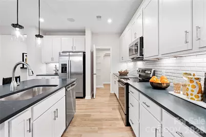 4123 Roe Creek Drive, Mint Hill, NC 28227 - Photo 5