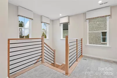 4123 Roe Creek Drive, Mint Hill, NC 28227 - Photo 13