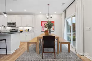 4123 Roe Crk Dr, Mint Hill, NC 28227 - Photo 9