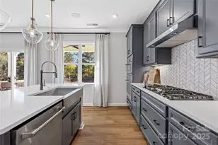 4119 Roe Crk Dr, Mint Hill, NC 28227 - Photo 9