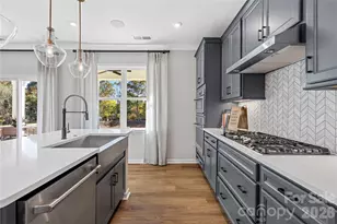 4119 Roe Crk Dr, Mint Hill, NC 28227 - Photo 9