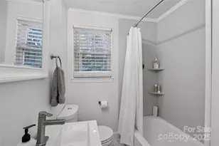 3808 Seaforth Dr, Charlotte, NC 28205 - Photo 19